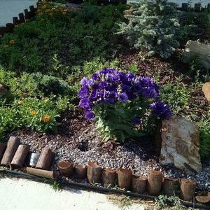 Meet your Posher, Maggie